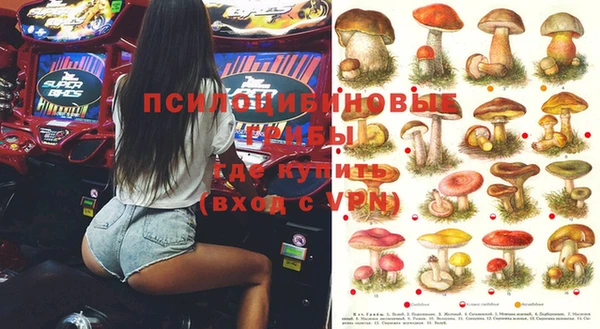крисы Алексеевка