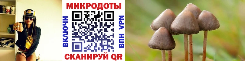 хочу наркоту  Мышкин  Галлюциногенные грибы мухоморы 